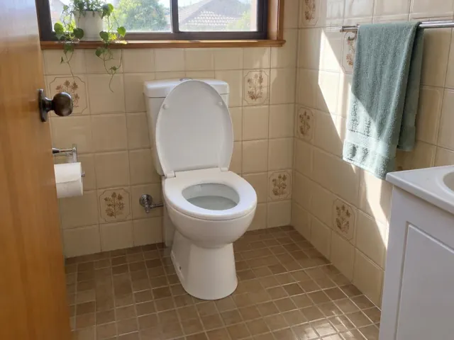 Clean white toilet in a tiled bathroom with window light and vanity in Peakhurst